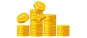 Multiplier