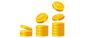 Multiplier